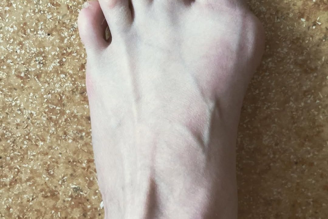 downloadgram.org_191738184_549612253080087_4011225251125878102_n