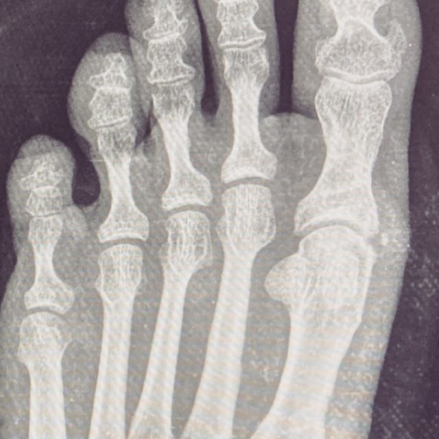 downloadgram.org_210214252_503280617449534_4032323311189637038_n