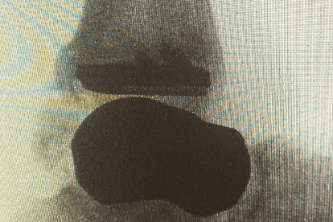downloadgram.org_221855219_1505362676464771_3598358186966248257_n