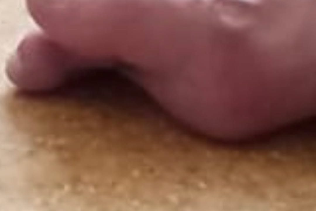 downloadgram.org_271630975_6811913958883256_7774559152212464024_n
